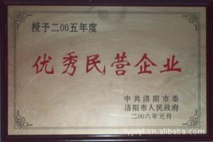 2005年 优秀民营企业